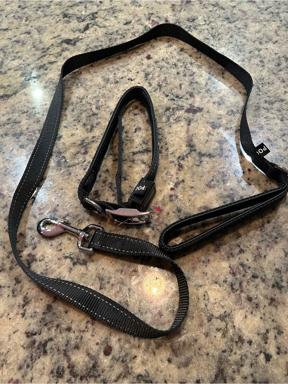 Black Dog Leash and Collar Set - Durable Nylon Lead